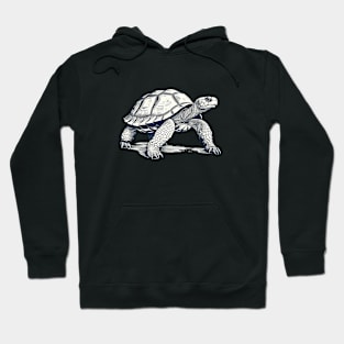 Turtle Retro line art Vintage feel Hoodie